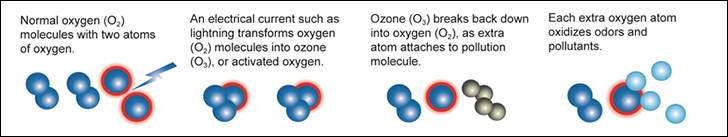 ABOUT OZONE